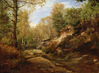 Pinos y abedules o, El bosque de Fontainebleau, c.1855-57